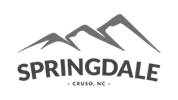 springdale 178x100 logo